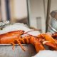 Red Lobster Restaurants in Surrey Canada