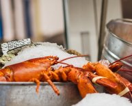 Red Lobster Restaurants in Surrey Canada